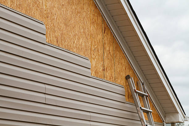 Professional Siding Inspection technician working in Hudgins, VA